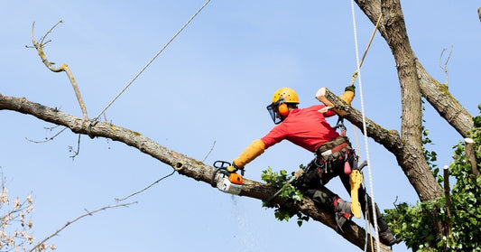 Quote Tree Service